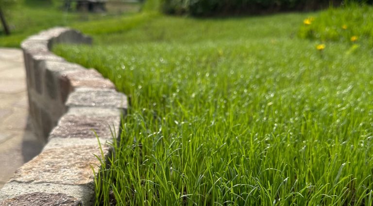 Hochdruckreinigung Grau gepflasterter Boden mit einem geometrischen Muster aus Rechtecken.
