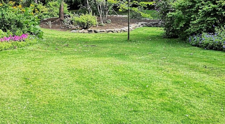 Rasenpflege Grüner Garten mit Rasen, umgeben von Blumen und Bäumen.